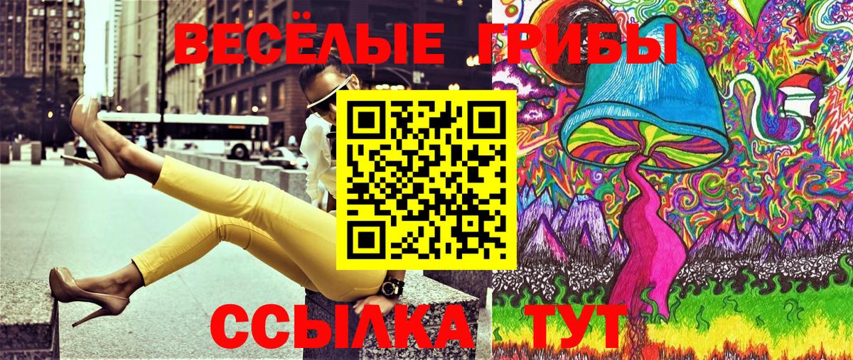 Псилоцибиновые грибы GOLDEN TEACHER Югорск